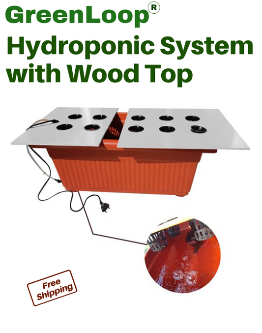 Hydroponic System with Wood Top