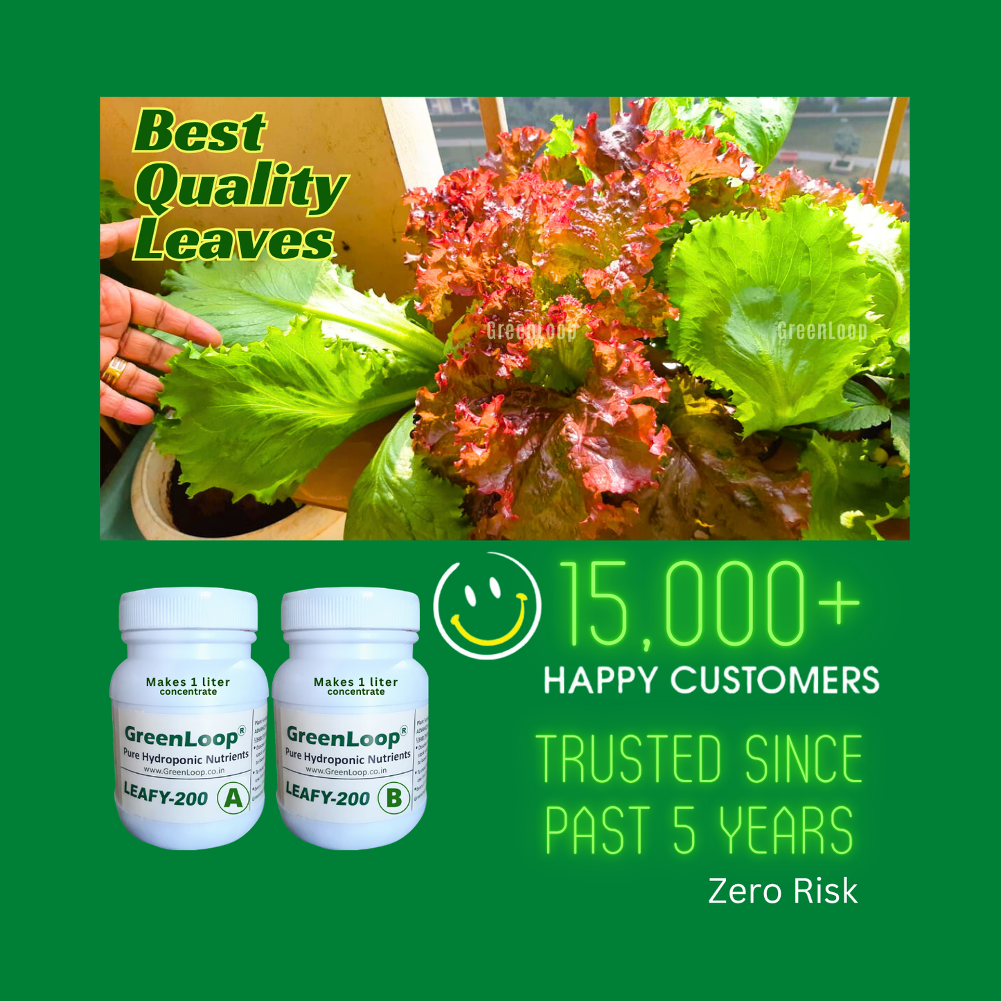 Hydroponic Nutrients LEAFY-200, Pack of 12 (TWELVE) sets