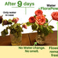 FloraPower - Pack of 44 sets