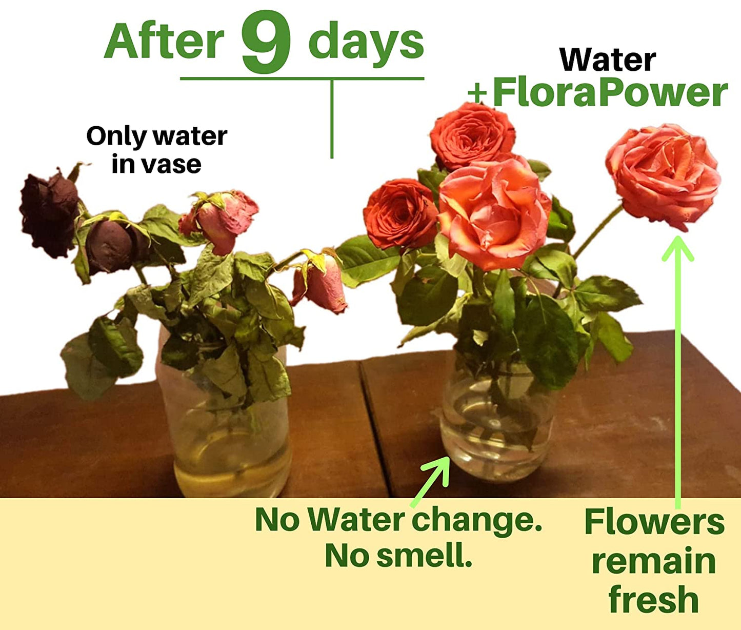 FloraPower - Pack of 44 sets