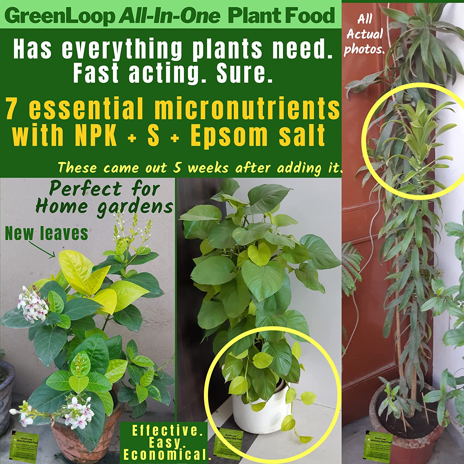 greenloop indoor plant food All in One Plant Food