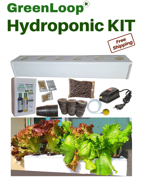 Hydroponic KIT