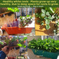 Hydroponic System with Wood Top