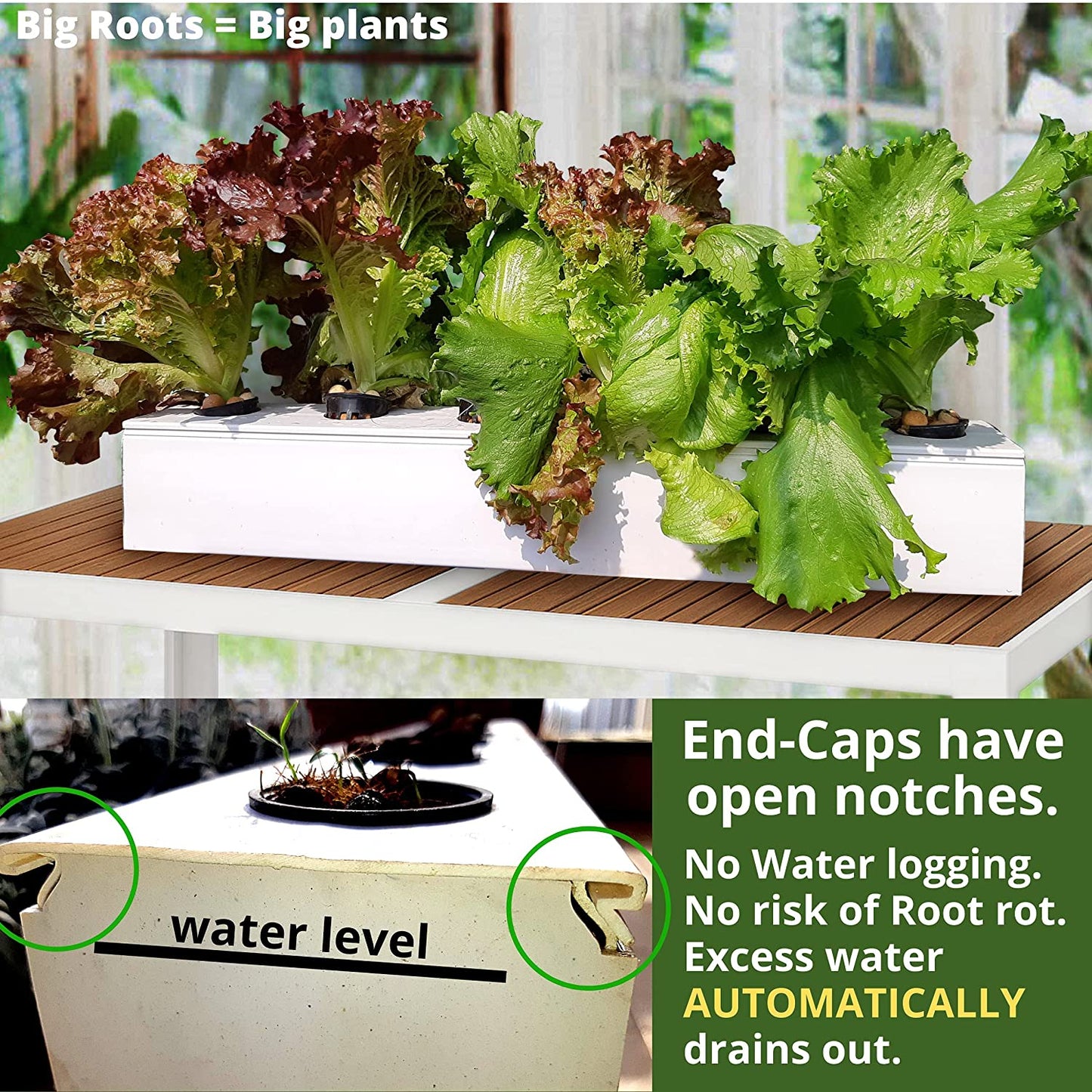 Hydroponic KIT