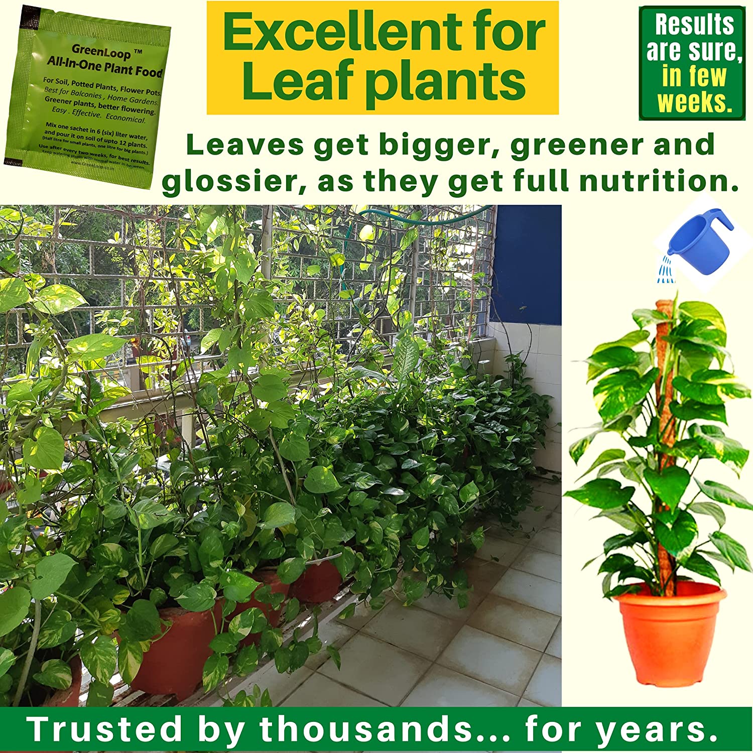 greenloop indoor plant food All in One Plant Food