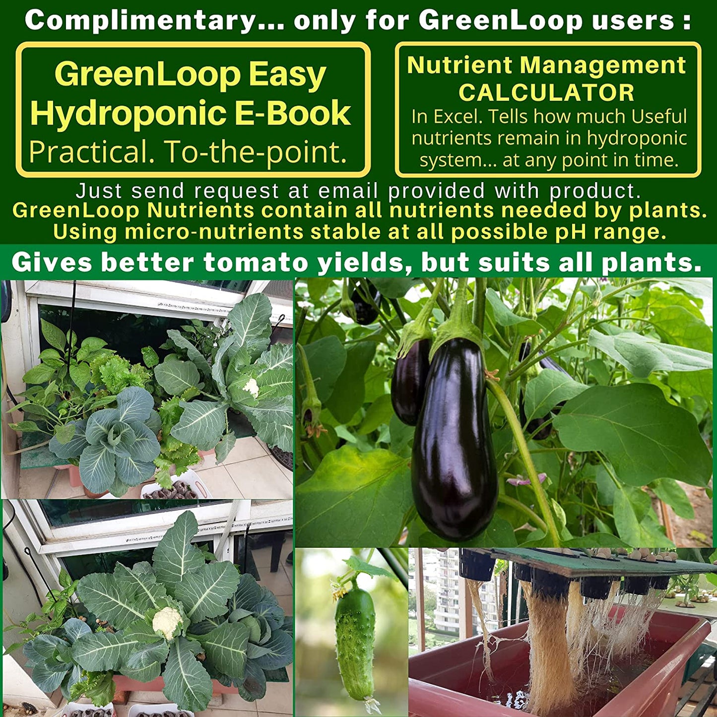 Hydroponic Nutrients TOMATO & VEGGIES, Pack of 12 sets