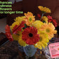 FloraPower - Pack of 44 sets