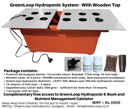 Hydroponic System with Wood Top