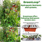 Hydroponic Nutrients TOMATO & VEGGIES, Pack of 12 sets